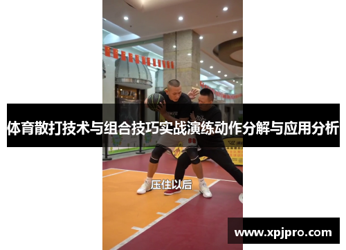 体育散打技术与组合技巧实战演练动作分解与应用分析