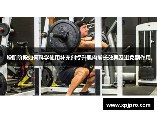 增肌阶段如何科学使用补充剂提升肌肉增长效果及避免副作用